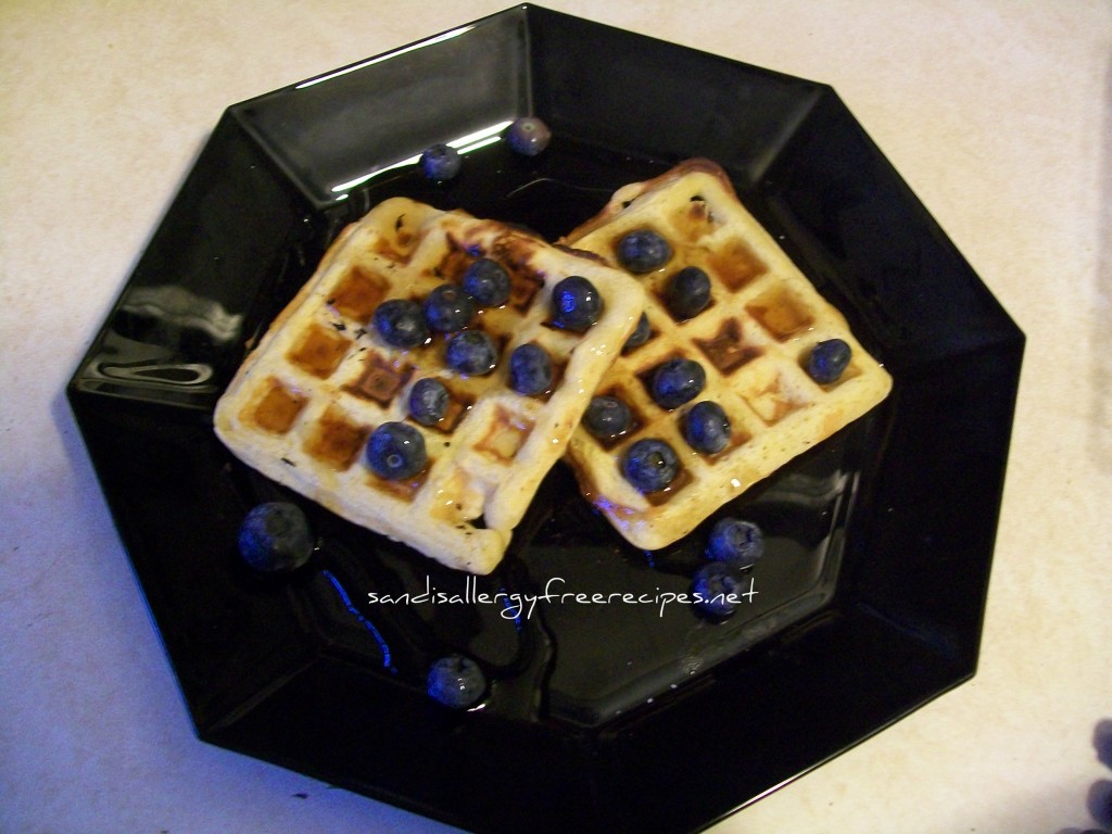 Grain Free Waffles 2