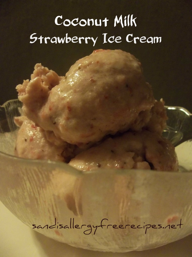 Coconut Milk Strawberry Ice Cream