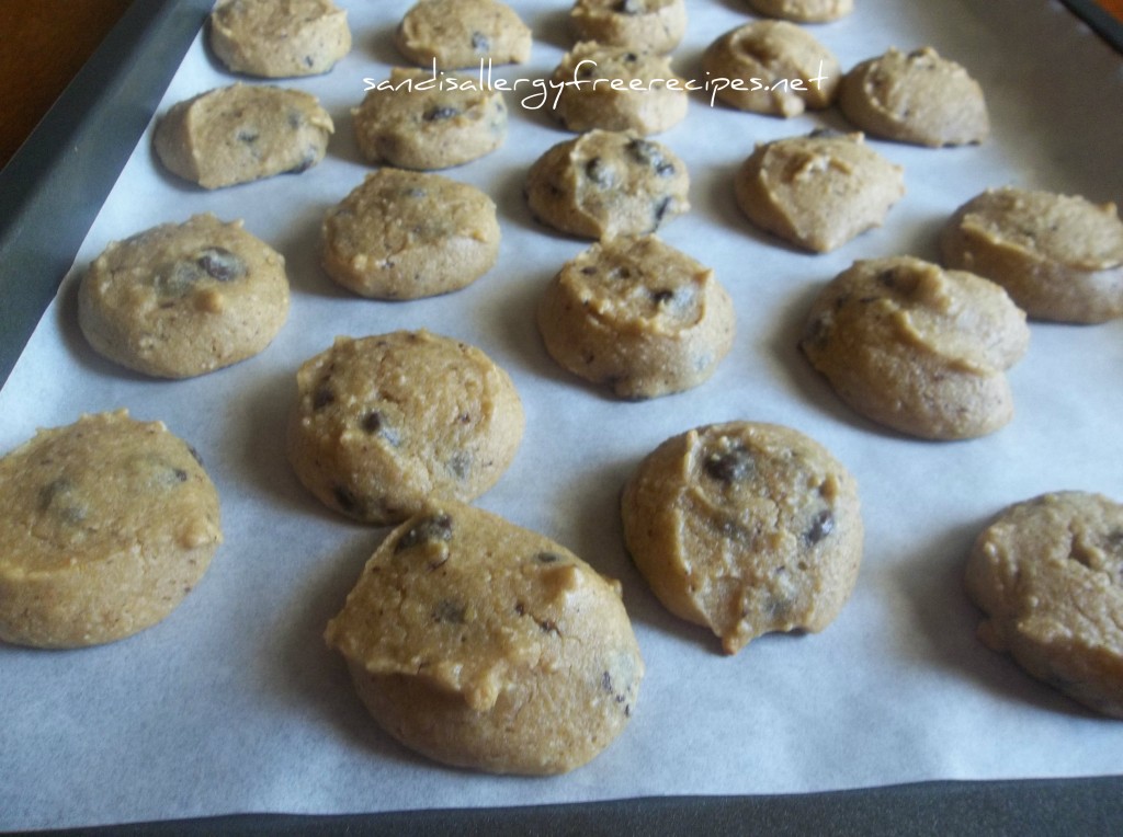 Chocolate Chip Chickpea Cookies 3