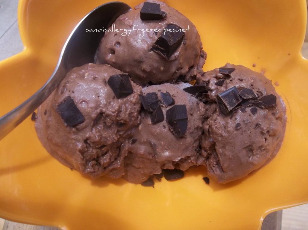 Chocolate Chunk Ice Cream (V,SF)