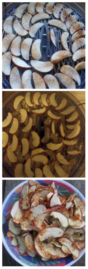 Dried Apple Chips