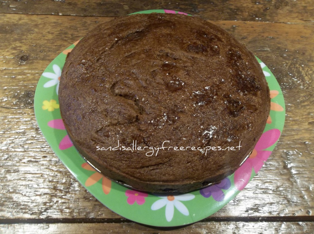 Apple Spice Cake- Vegan, Gluten Free