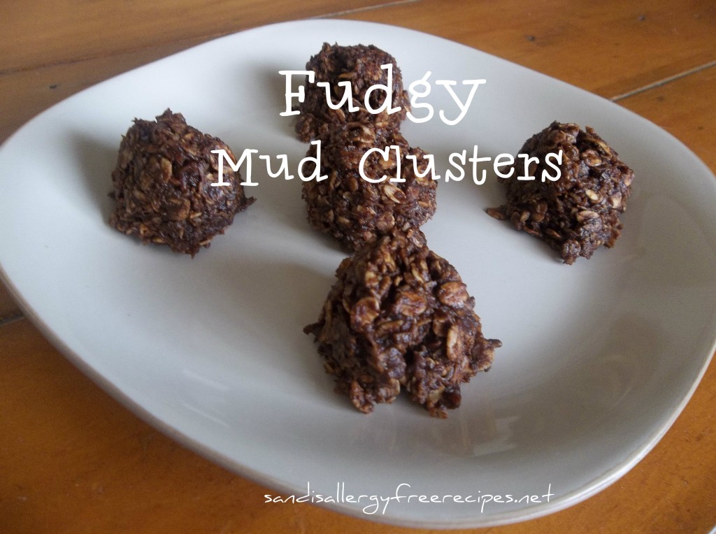 Fudgy Mud Clusters