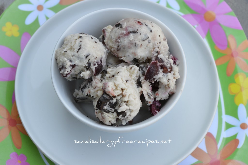 Dark Chocolate Cherry Ice Cream-2