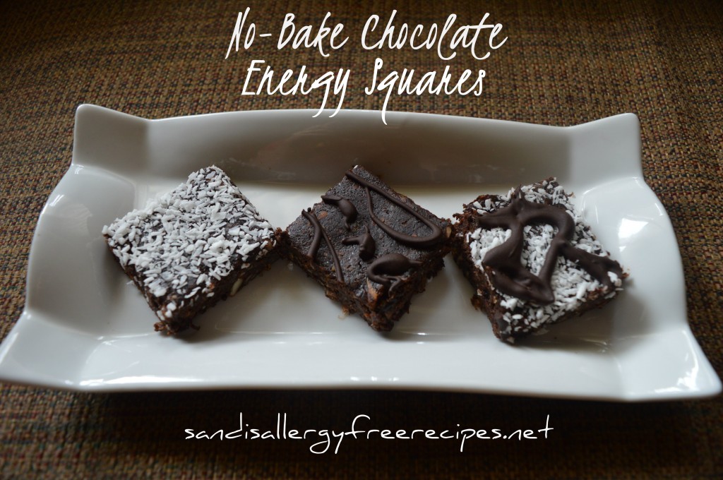 No-Bake Chocolate Energy Squares