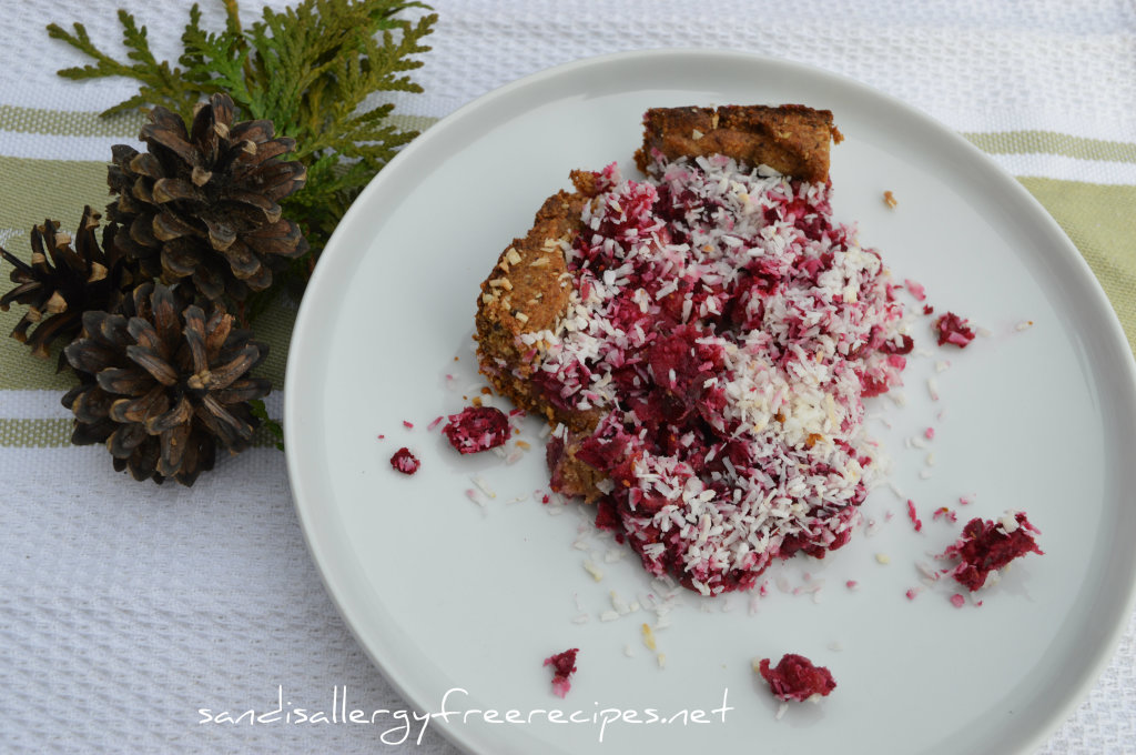 Coconut Cranberry Delight- Paleo