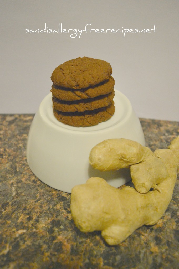 Ginger Snaps-Gluten free