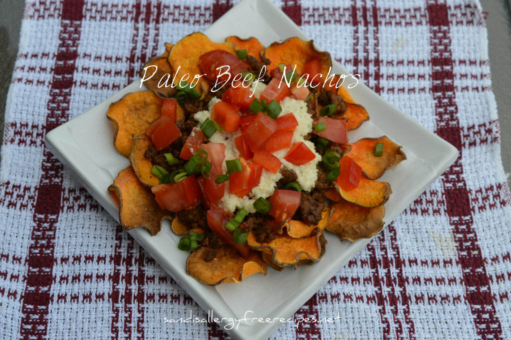 Paleo Beef Nacho- Corn Free