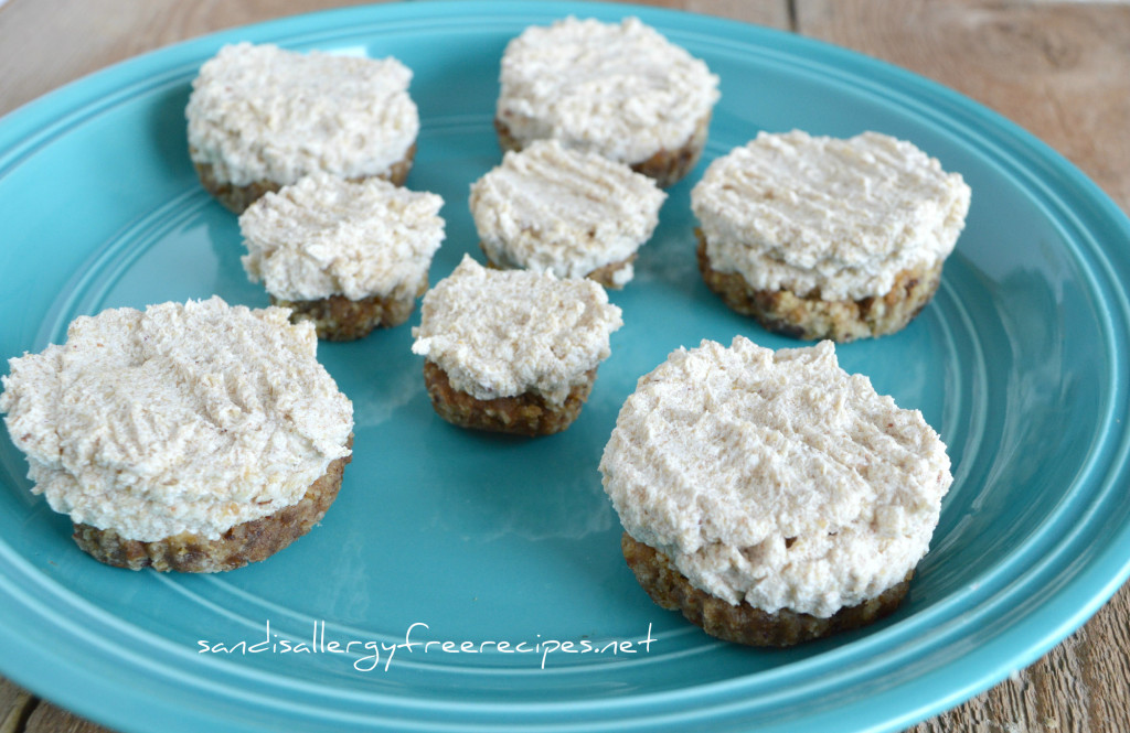 Raw CashewCoconut Bites