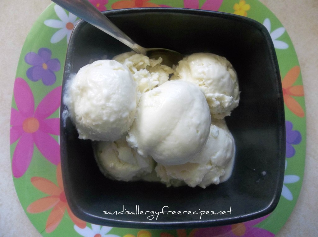 Dairy Free Vanilla Ice Cream