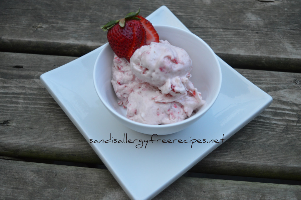 Strawberry Ice Cream Dairy Free