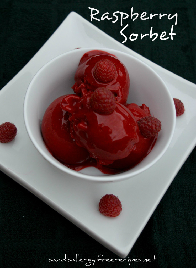 2- Ingredient Raspberry Sorbet