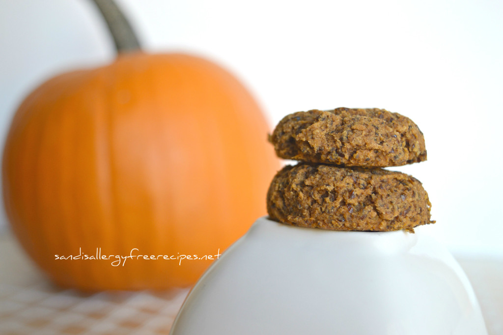 Paleo Pumpkin Cookies