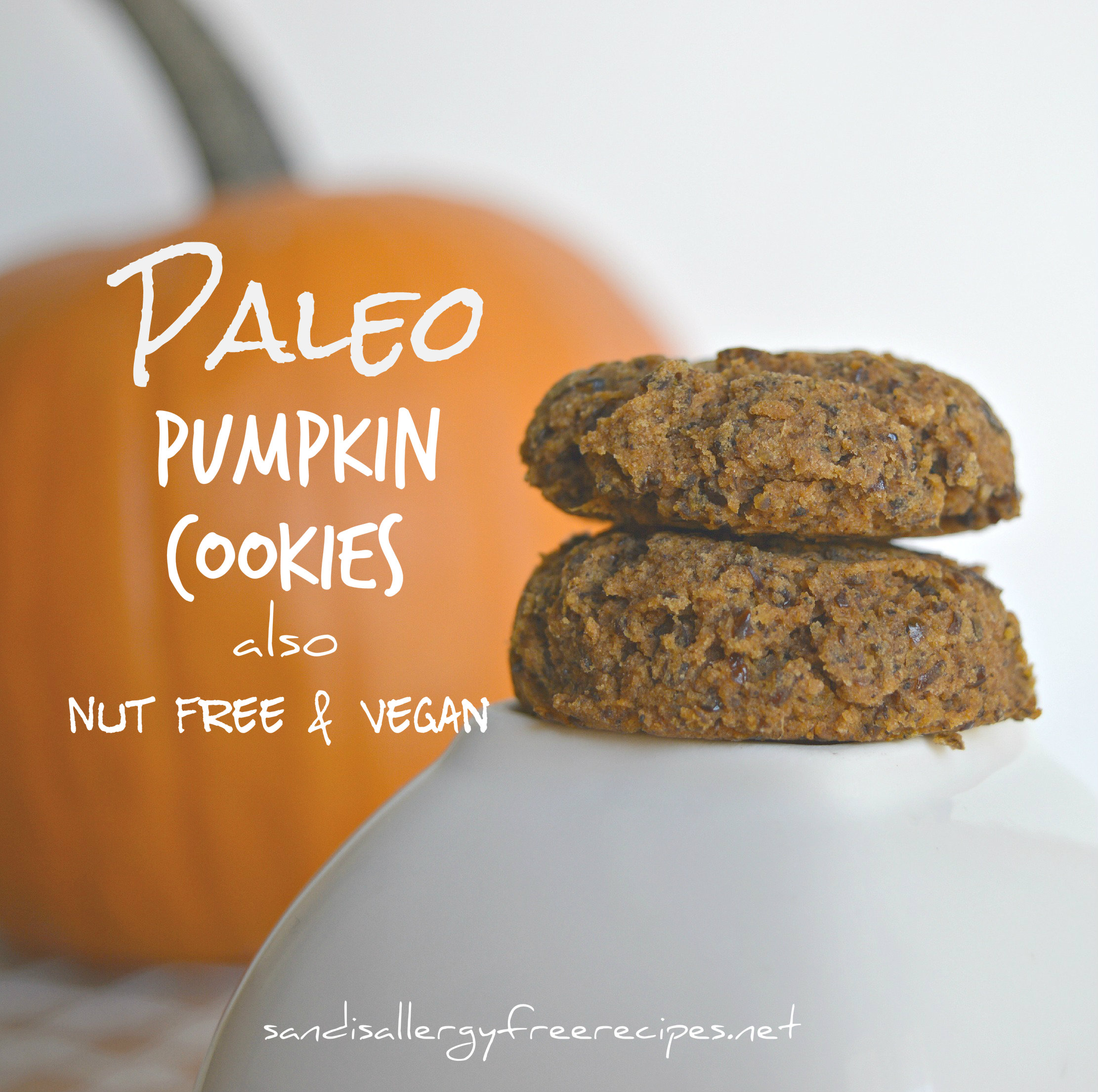 Pumpkin Cookies (Paleo/ Vegan/ Nut-Free/ Gluten Free/ Dairy Free ...