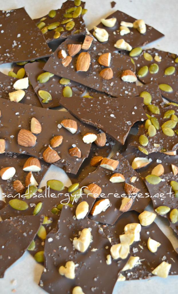 Salted Dark Chocolate Bark