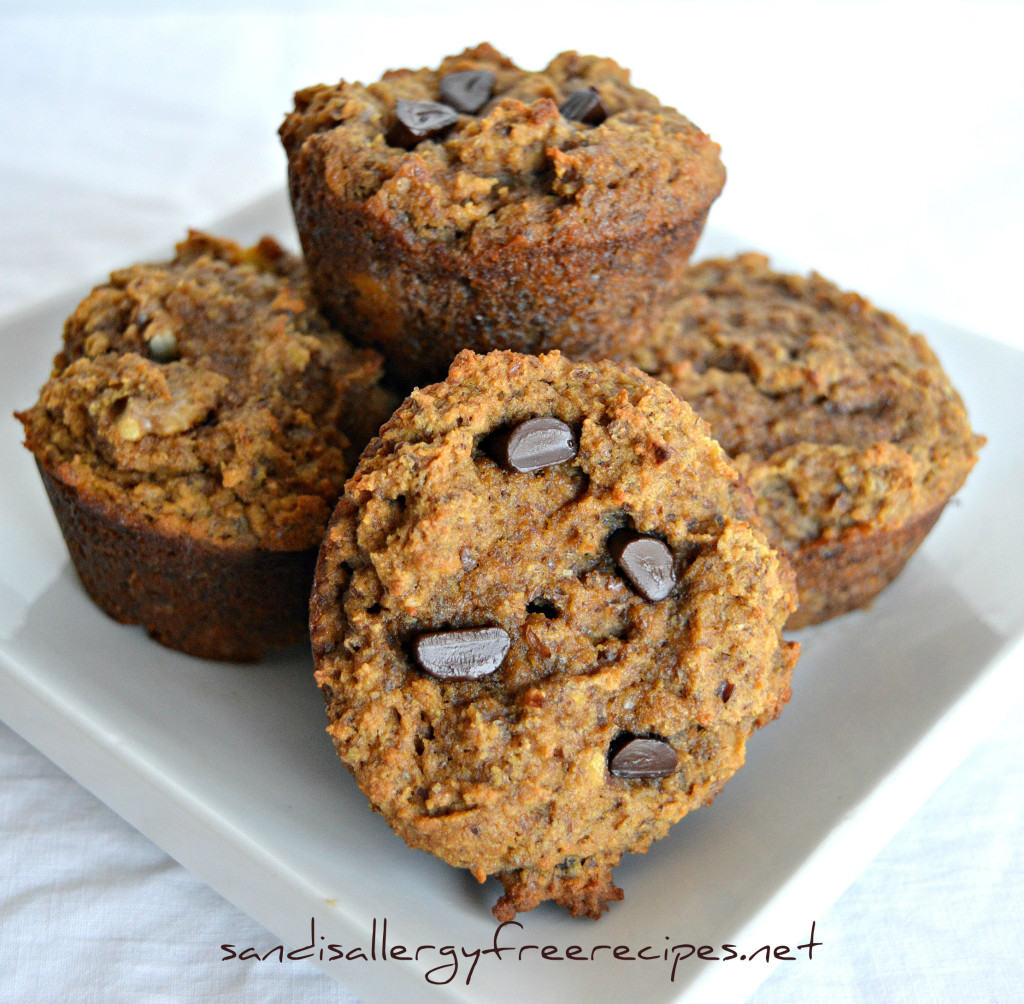 paleo-banana-muffins-gluten-free-grain-free-vegan-dairy-free