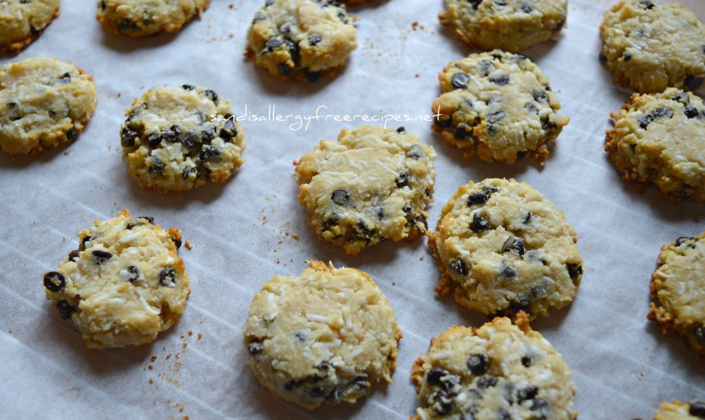 Coconut Chocolate Chip Cookies