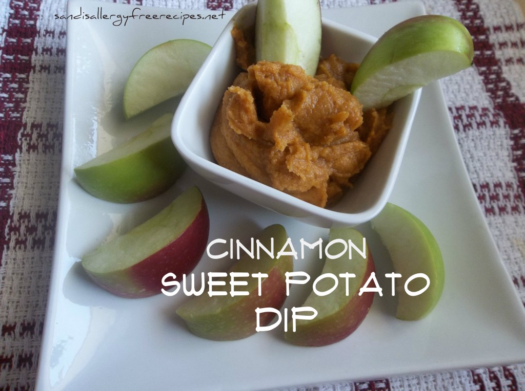 Cinnamon Sweet Potato Dip