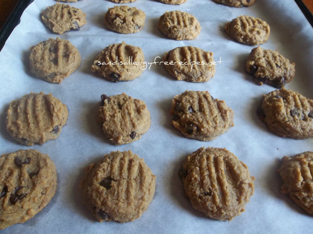 Chocolate Chip Chickpea Cookies 2