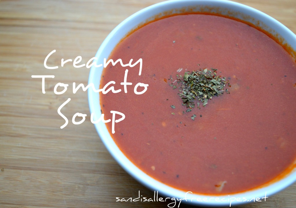 Creamy Tomato Soup (Dairy Free/ Paleo/ Vegan) - SANDI'S ALLERGY FREE ...