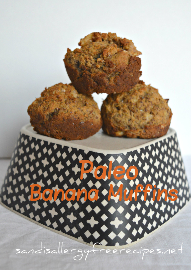 Paleo Banana Muffins