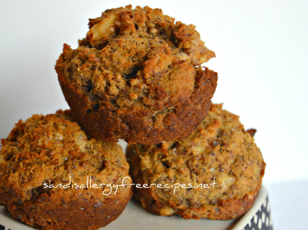 Paleo Banana Muffins