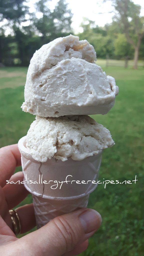 Vanilla Cashew Ice Cream